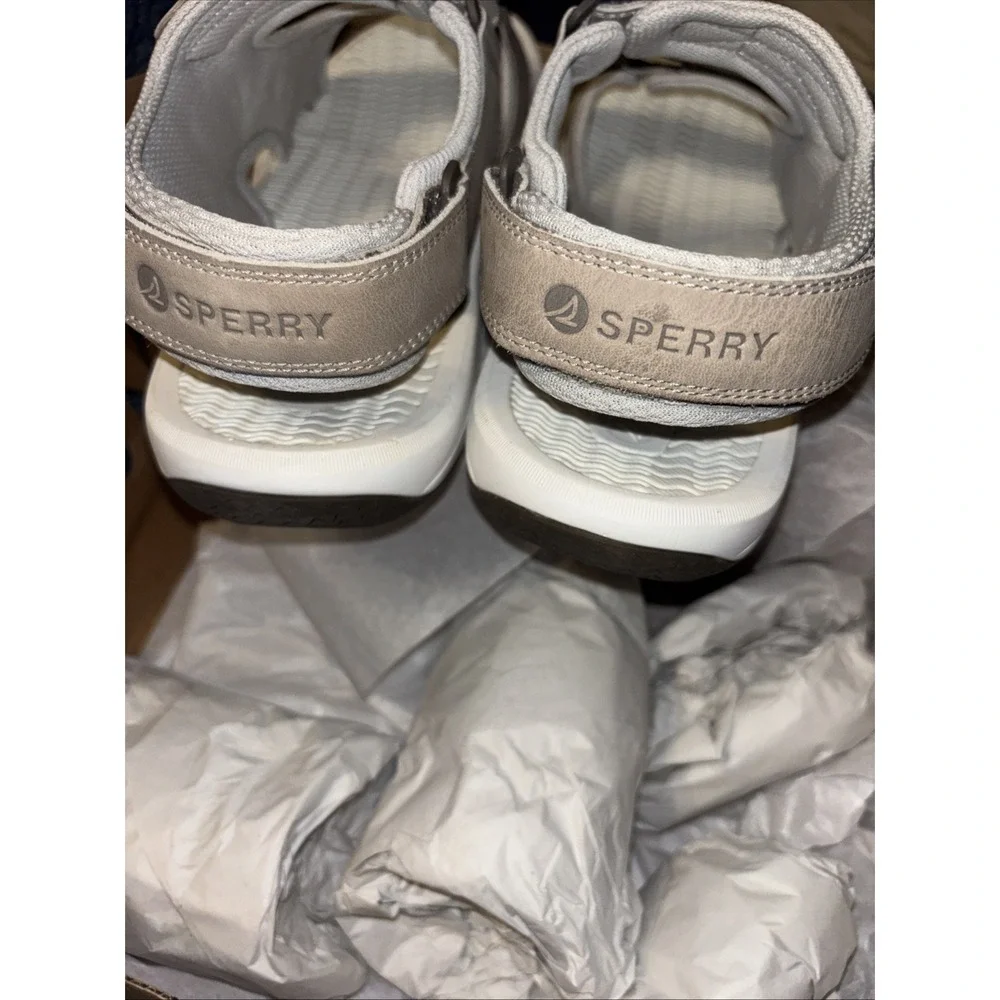 Sperry box torn